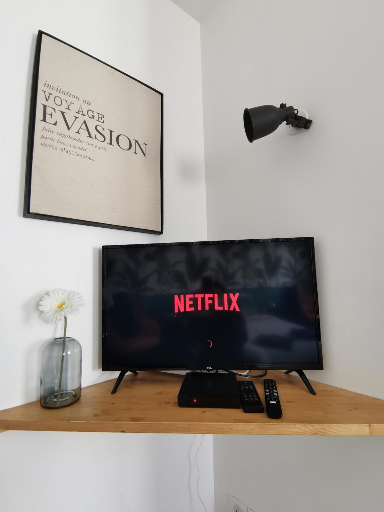 Jungle Studio Gex - Ski - Netflix Экстерьер фото